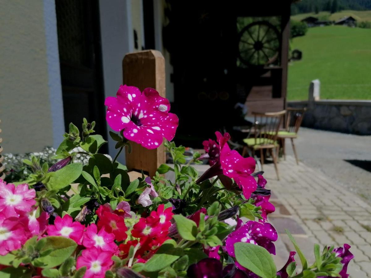 Ferienwohnung Oberkofler Mittersill Exteriör bild